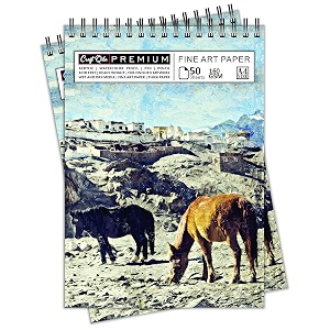 craft qila horses leh india 50 sheets 100 pages a4 sketchbook  top spiral-bound sketchpad for artists  professional grade drawing and sketchbook - pack of 2