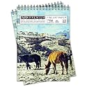 Craft Qila Horses Leh India (50 Sheets, 100 Pages) A3 Sketchbook | Top Spiral-Bound Sketchpad for Artists | Professional Grade Drawing and Sketchbook - Pack of 2