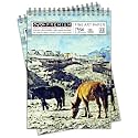 Craft Qila Horses Leh India (50 Sheets, 100 Pages) A4 Sketchbook | Top Spiral-Bound Sketchpad for Artists | Professional Grade Drawing and Sketchbook - Pack of 2
