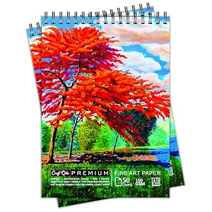 craft qila peacock flowers 50 sheets 100 pages a5 sketchbook  top spiral-bound sketchpad for artists  professional grade drawing and sketchbook - pack of 2