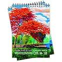 Craft Qila Peacock Flowers (50 Sheets, 100 Pages) A4 Sketchbook | Top Spiral-Bound Sketchpad for Artists | Professional Grade Drawing and Sketchbook - Pack of 2