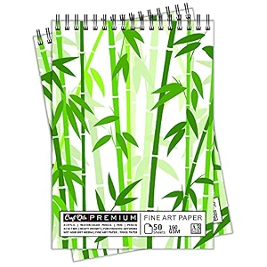 craft qila plant 50 sheets 100 pages a3 sketchbook  top spiral-bound sketchpad for artists  professional grade drawing and sketchbook - pack of 2