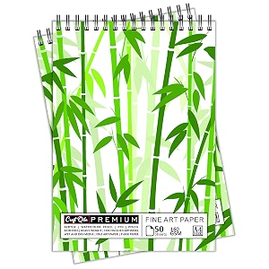 craft qila plant 50 sheets 100 pages a4 sketchbook  top spiral-bound sketchpad for artists  professional grade drawing and sketchbook - pack of 2