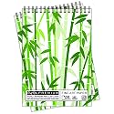 Craft Qila Plant (50 Sheets, 100 Pages) A3 Sketchbook | Top Spiral-Bound Sketchpad for Artists | Professional Grade Drawing and Sketchbook - Pack of 2