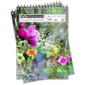 Craft Qila Watercolor Painting (50 Sheets, 100 Pages) A3 Sketchbook | Top Spiral-Bound Sketchpad for Artists | Professional Grade Drawing and Sketchbook - Pack of 2