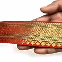 Golden Zari Weaving Border for Suit, Designer Lehenga, Saree Border &amp; Dupatta | Suitable for Home Furnishing, Crafting, etc 9-Meter (1.5IN, Red)