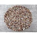 Crazy Lace Agate Chips – Natural Mini Crazy Lace Agate Stones, Crushed Undrilled Crazy Lace Agate, Semi-Tumbled Genuine Crazy Lace Agate (5 lbs Bulk)