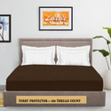 CRAZY WORLD Queen Size Fitted Terry Cotton