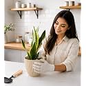Cream Plastic Flower Pot for Indoor amp