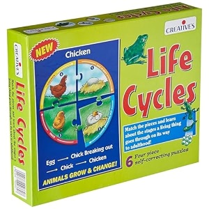 creatives life cycle puzzle for kids  animal life cycle learning toy  6 sets of 4-piece self-correcting puzzles  evs amp science educational game  ages 5