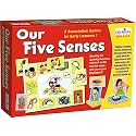 Creative’s Our Five Senses| Children Recognise The Five Senses and Associated Body Parts| Educational Toys n Games| Differentiate Between the Five Senses| Learning & Educational for Ages 5 & Up