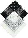 Creeknest Boys, Girls, Men, Women Printed Bandana