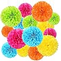 Hanging Party Decorations Set Tissue Paper Fan Paper Pom Poms Flowers for Wedding Birthday Baby Shower Bachelorette Graduation Party Kit (12 Pcs Set)(Multicolor)