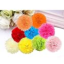 Party Tissue Hanging Paper Pom Poms Set | 12 Pcs Set | Decorative Hanging Paper Flower Ball | Wedding Birthday Party Baby Shower Party Decorations | (Multicolor)
