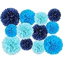 Tissue Hanging Paper Pom Poms Set | 12 Pcs Decorative Flower Ball | Wedding Birthday Baby Shower Party Decorations | (Blue + Dark Blue + Light Blue)
