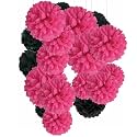 Party Tissue Hanging Paper Pom Poms Set | 12 Pcs Set | Decorative Hanging Paper Flower Ball | Wedding Birthday Party Baby Shower Party Decorations | (Black + Pink)