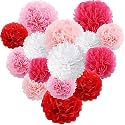 Party Tissue Hanging Paper Pom Poms Set | 12 Pcs Set | Decorative Hanging Paper Flower Ball | Wedding Birthday Party Baby Shower Party Decorations | (White + Red + Pink)
