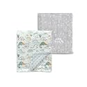 CREVENT 2Pcs 30''X40'' Cute Cozy Fluffy Warm Baby Blankets for Infants Toddlers' Bedding Crib Cot Stroller - Grey Cloud + Minky Dinosaur