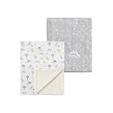 CREVENT 2Pcs 30''X40'' Cute Cozy Fluffy Warm Baby Blankets for Infants Toddlers' Bedding Crib Cot Stroller - Grey Cloud + Minky Dinosaur
