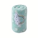 CREVENT 30"X40" Lightweight Fuzzy Fluffy Warm Plush Baby Blanket for Infant Toddler Newborn Unisex Crib Cot Stroller - Green Rainbow Unisex