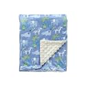 CREVENT Silky Soft Baby Blanket for Boys Soft Plush Receiving Gift for Newborns Toddlers Bedding - Zoo 30x40 Inches