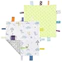 CREVENT Tag Security Blankets for Babies, Soft Small Loveys for Boys, Baby Comforter Sensory Blanket, Great Gifts for Birthday Baby Shower - 10"X10" Green + Colorful Dinosaur