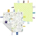 CREVENT Tag Security Blankets for Babies, Soft Small Loveys for Boys, Baby Comforter Sensory Blanket, Great Gifts for Birthday Baby Shower - 10"X10" Green + Dinosaur