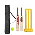 Cricket Kit with Himachal Willow Bat & Bat Cover, Plastic Stumps and Tennis Ball for Kids | Cricket Kit for Kids Cricket Bat with Wicket (Size 3, Age 6-10 Year)