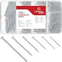 CrimsonMark Nails Assortment Kit - 700 PCS Galvanized Steel Nails for Wall