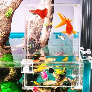 fish elevator inverted aquarium vacuum tower above the water large tank decor accessories make your fish fly