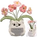 Crochet Forget Me Not Gift for Mom – Mothers Day Gifts from Daughter Son, Handmade Pink Flower Pot with Card “to My Mom”, Cute Desk Decor, Ready-to-Gift with Clear Box