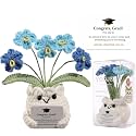 Crochet Forget Me Not Graduation Gift – Class of 2026 Blue Flowers with Card “Congrats, Grad! You Did It.”, Meaningful Gift for Student, Senior, Keepsake Desk Decor