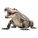 Crocodile - Life Size Cardboard Cutout Standup People with Support Standee | Animals -