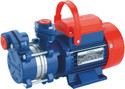 Crompton AQUAGOLD 150 Centrifugal Water Pump (1.5 hp)
