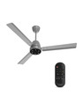 Crompton Energion Niteo with 4 Year Warranty