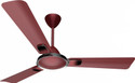 Crompton HS MARKLE with 2 Year Warranty Anti Dust 1200 mm Ceiling Fan (1 Star | Red Velvet | Pack of 1)