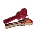 Crossrock Wooden Guitar Case -Fits 335 Style 6 Strings Semi-Hollow Electric Guitars -Vintage Hardware, Sponge Lining, Metal Feet, Storage Space-Black (CRW600SATW-2)