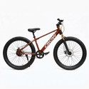 Crow DOMINATOR PRO SINGLE SPEED 29TDOWNHILL SUSPENSION