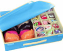 Crownsy Lingerie Storage Organizer Undergarments Organizer With Lid Non-Woven Drawer Dividers Innerwear Wardrobe Organizer Foldable Storage Box Organiser for Wardrobe Closet -(PACK OF 1)- Blue (Blue)