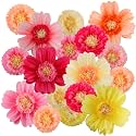 Crowye 24 Pcs Large Tissue Paper Flower Decor,10'' 20'',Fresh Color