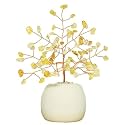 Protective Black Tourmaline Tree Handmade Natural Gemstone Tree for Shielding and Grounding Energy in Home Decor Crystal Tree Home Decor (Citrine Tree 108 Beads)