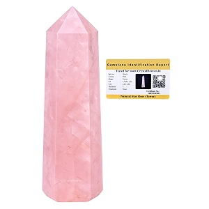 Crystal Heaven Certified Star Rose Quartz Crystal