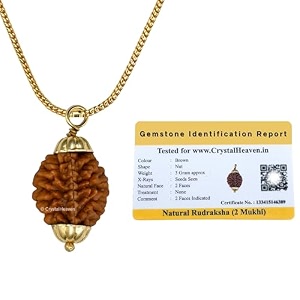 rudraksha original 2 mukhi pendant necklace for women men