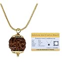Crystal Heaven Rudraksha Original 5 Mukhi Pendant Necklace for Women Men