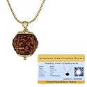 Crystal Heaven Rudraksha Original 6 Mukhi Pendant Necklace for Women Men | Certified Rudraksha with Velvet Pouch (Gold)