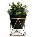 Black Metal Planter with Stand | Tabletop Item | Home Decor Item | Living Room Planter | Decorative Vase for Garden - Pack of 1