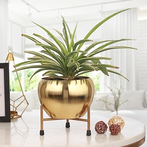 gold shine metal planter with stand  tabletop item  home decor item  living room planter  decorative vase for garden - pack of 1