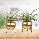 Gold Shine Metal Planter with Stand | Tabletop Item | Home Decor Item | Living Room Planter | Decorative Vase for Garden - Pack of 2