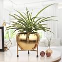 Gold Shine Metal Planter with Stand | Tabletop Item | Home Decor Item | Living Room Planter | Decorative Vase for Garden - Pack of 1