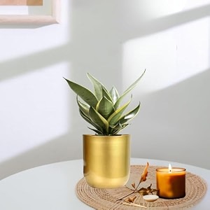 golden metal planter  tabletop item  home decor item  living room planter  decorative vase for garden pack of 2